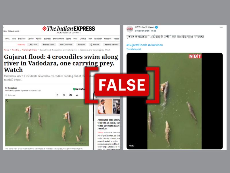 The photo shows news reports claiming that the video is from Vadodara. (Source: The Indian Express/Navbharat Times/Modified by Logically Facts)